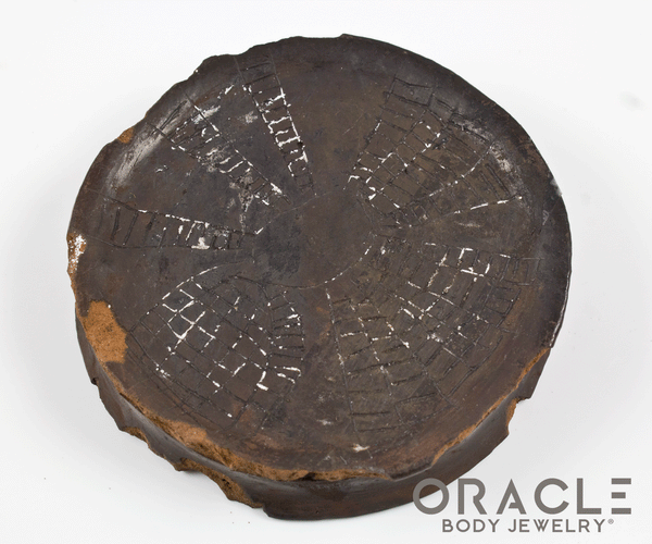 Mursi Clay Lip Plate