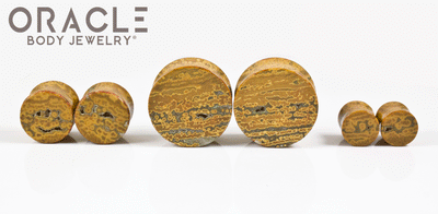 Yellow Ocean Jasper Double Flare Plugs