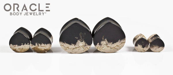 Agatized Palm Root Teardrop Plugs