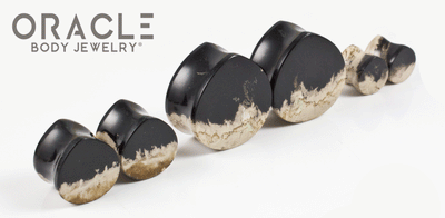 Agatized Palm Root Teardrop Plugs