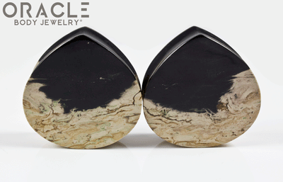 1-3/8" Agatized Palm Root Teardrop Plugs