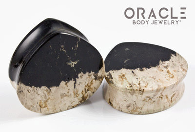 1-1/2" Agatized Palm Root Teardrop Plugs