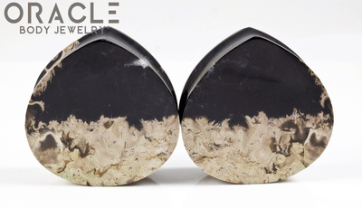 1-5/8" Agatized Palm Root Teardrop Plugs
