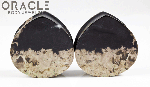 1-5/8" Agatized Palm Root Teardrop Plugs