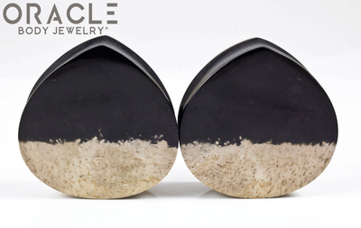 1-3/4" Agatized Palm Root Teardrop Plugs