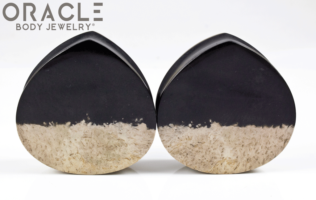 1-3/4" Agatized Palm Root Teardrop Plugs