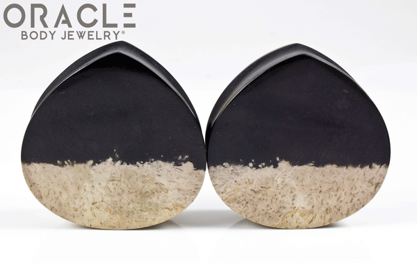 1-3/4" Agatized Palm Root Teardrop Plugs