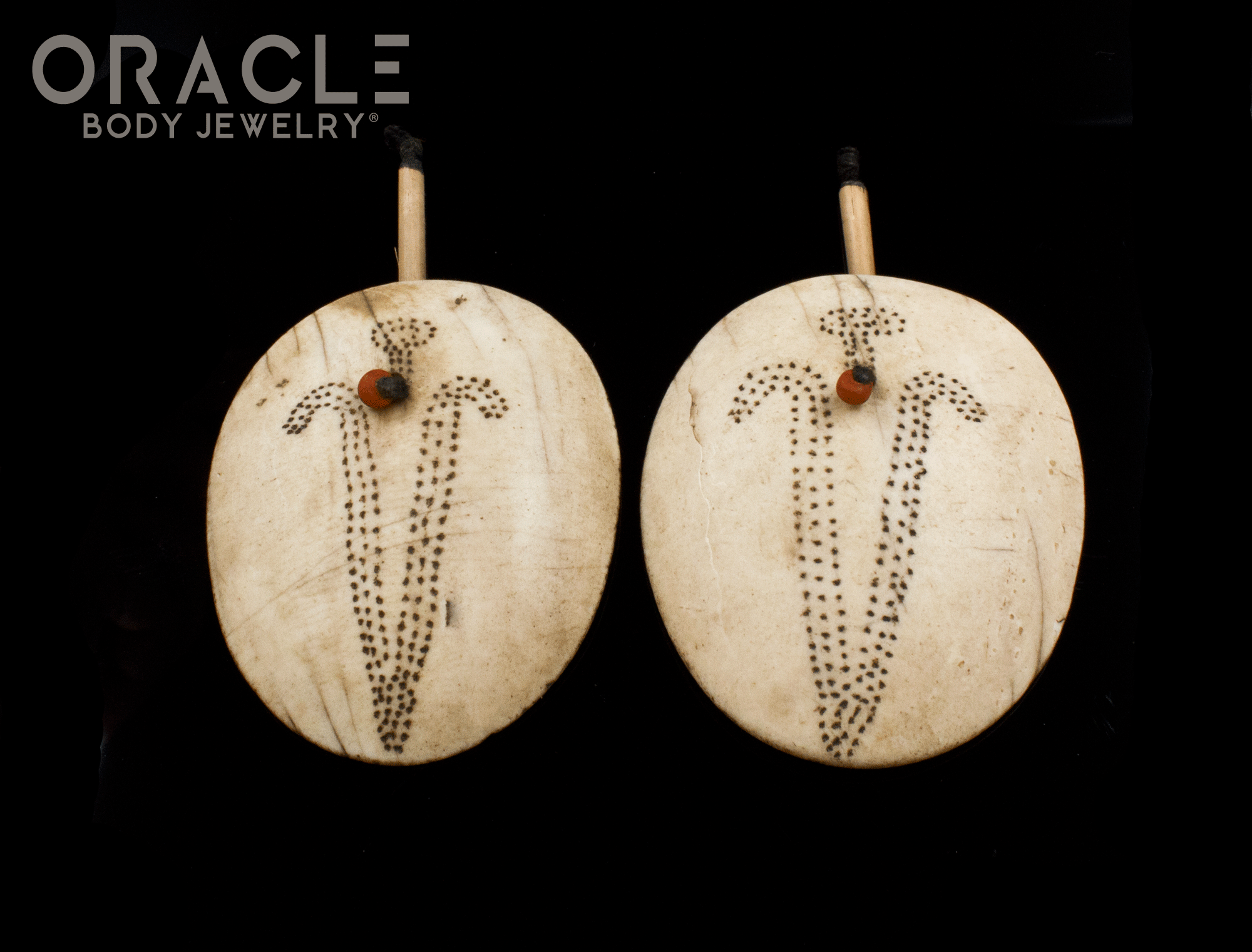 Old Konyak Naga Shell Earrings