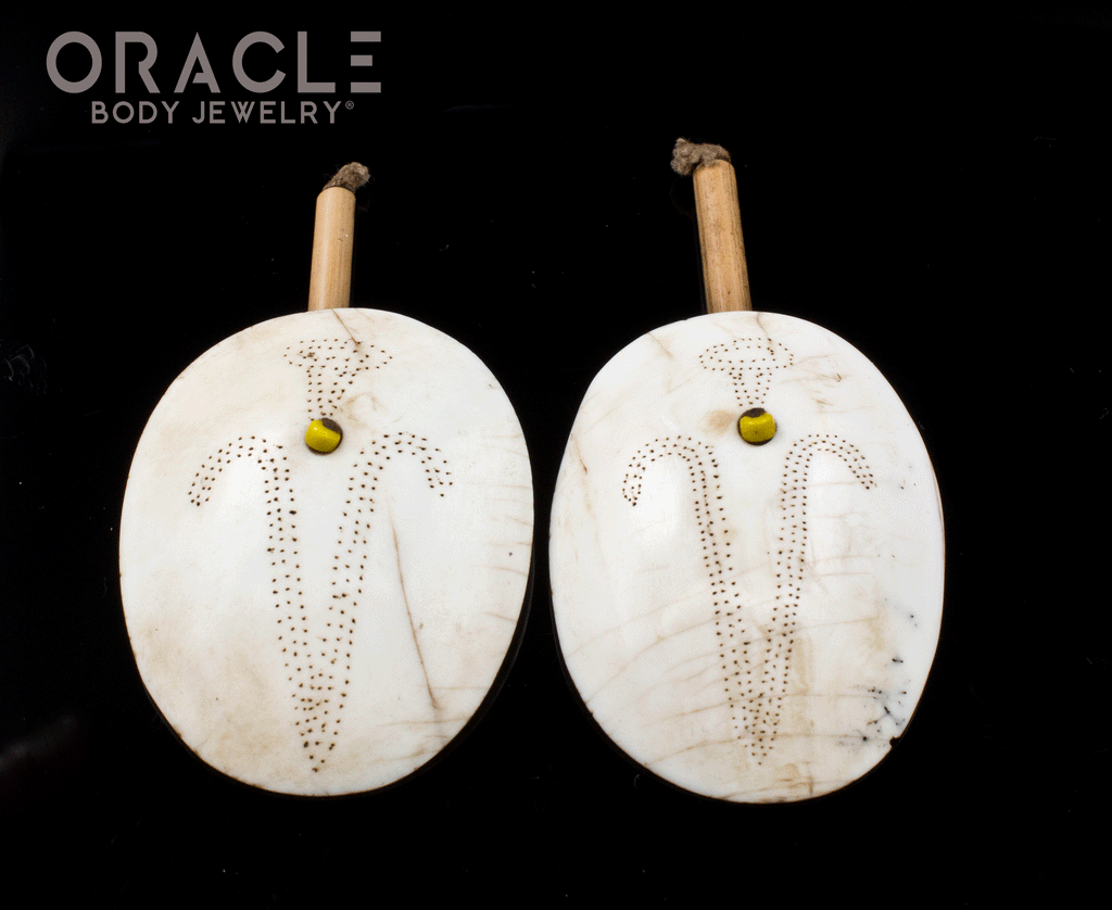 Old Konyak Naga Shell Earrings