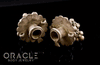 Silver Guajarat Ear Plugs with Bells
