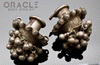 Silver Guajarat Ear Plugs with Bells