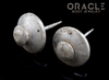 Old Kenya Samburu Tribe Spike Ear Plugs