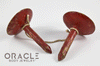 Old Naga Long Wooden Ear Plugs