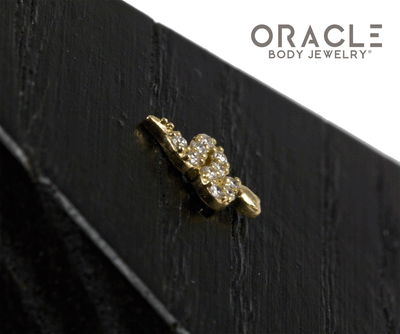 14k Diamondback Threadless End