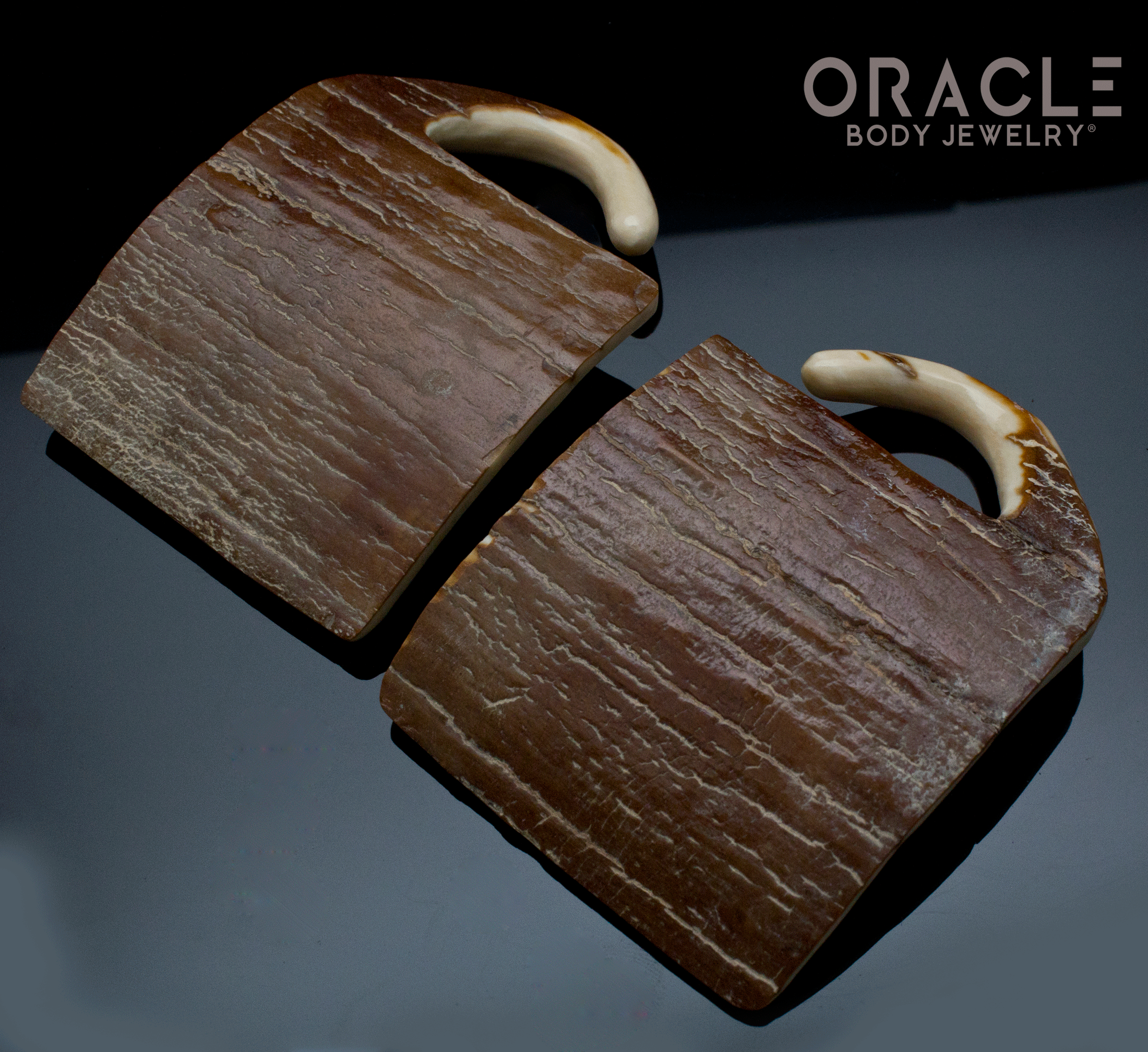2g (6mm) Fossilized Mammoth Ivory Weapons Cache Box