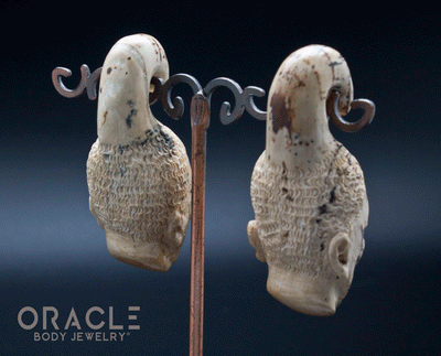 00g (10mm) Fossilized Mammoth Ivory Portrait Hangers