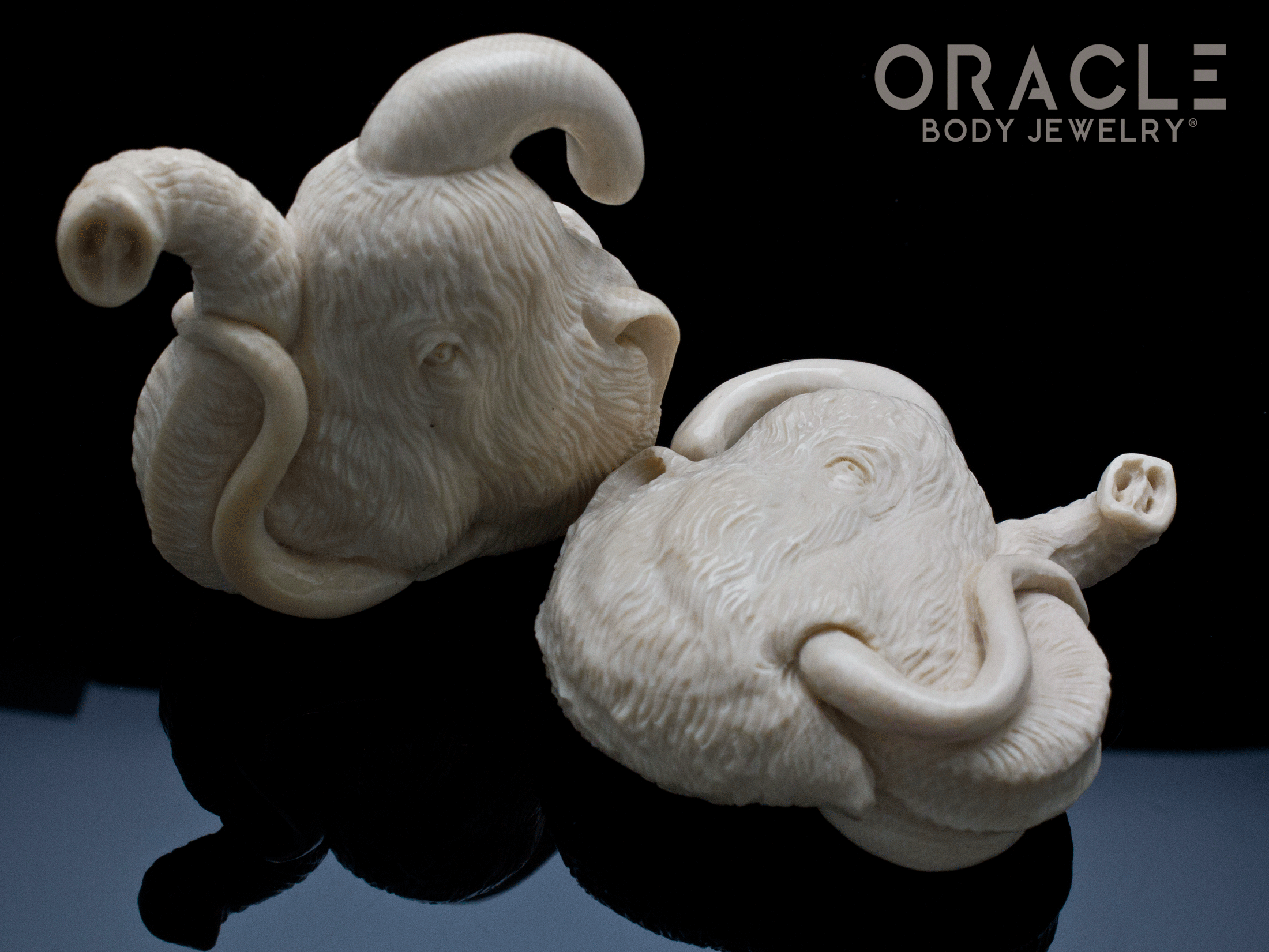 7/16" (11mm) Fossilized Mammoth Ivory Portraits