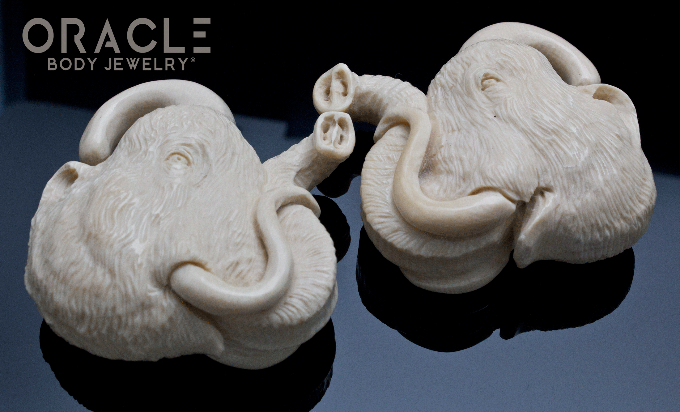 7/16" (11mm) Fossilized Mammoth Ivory Portraits