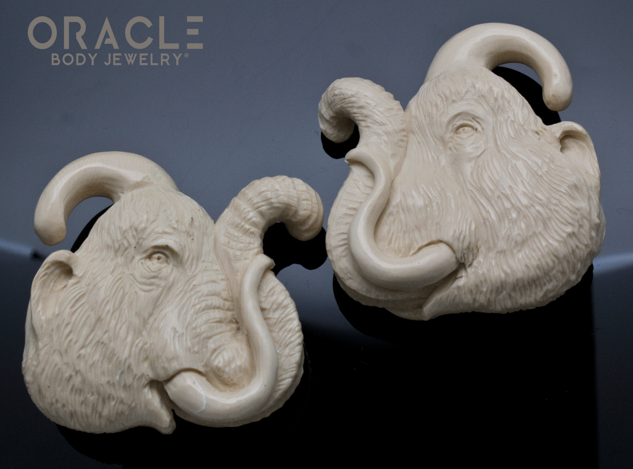 7/16" (11mm) Fossilized Mammoth Ivory Portraits