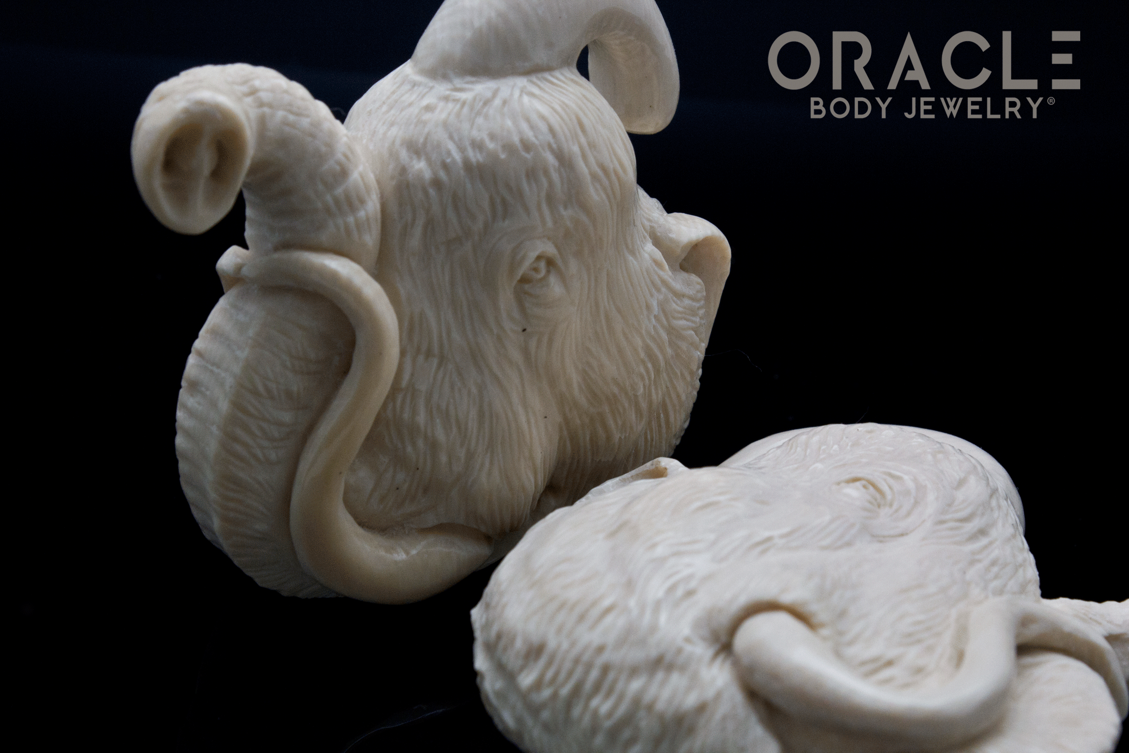 7/16" (11mm) Fossilized Mammoth Ivory Portraits