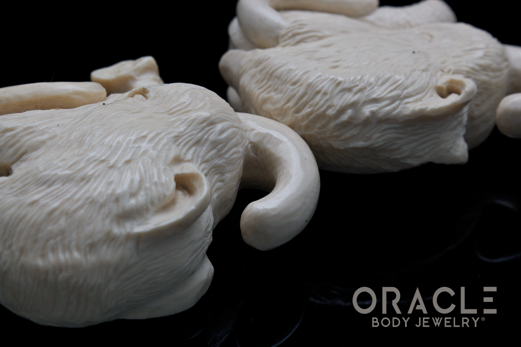 7/16" (11mm) Fossilized Mammoth Ivory Portraits