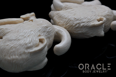 7/16" (11mm) Fossilized Mammoth Ivory Portraits