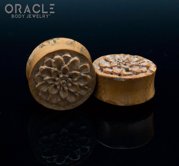 13/16" (21mm) Fossilized Mammoth Ivory Carved Plugs