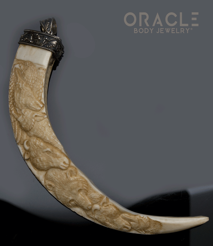 Carved Boar's Tusk Pendant with Silver Filigree