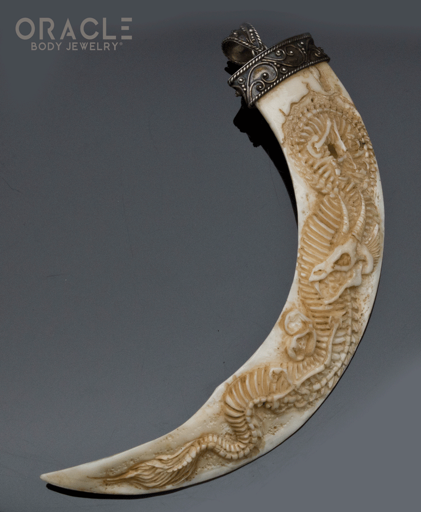 Boar's Tusk Pendant with Carved Dragon Skeleton and Silver Filigree