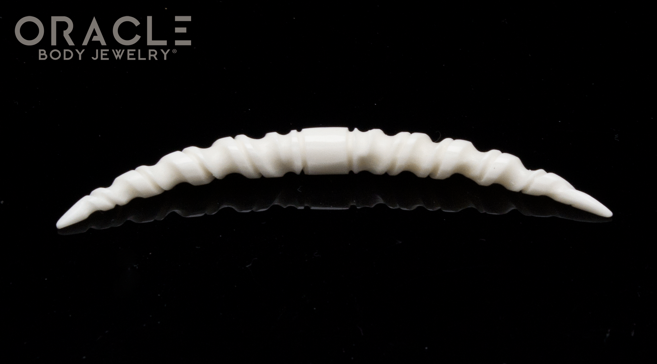 Twisted Bone Septum Tusk