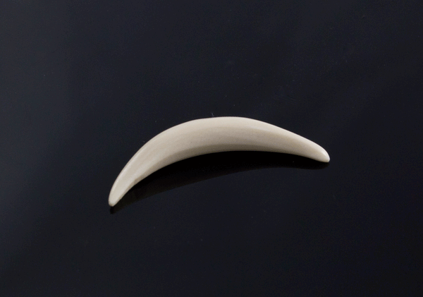 6g (4mm) Fossilized Mammoth Ivory Septum Tusk