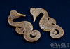 1/2" (12.5mm) Fossilized Mammoth Ivory Seahorse