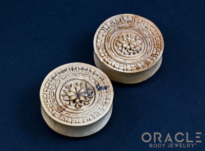 1-7/16" Fossilized Mammoth Ivory Plugs
