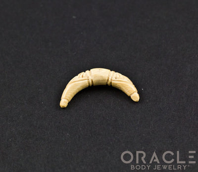 4g Fossilized Mammoth Ivory Septum Tusk