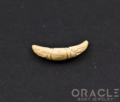 4g Fossilized Mammoth Ivory Septum Tusk