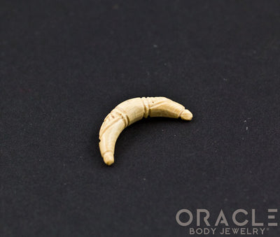 4g Fossilized Mammoth Ivory Septum Tusk