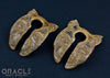 7/8" (22mm) Fossilized Mammoth Ivory Split Sphynx Weights