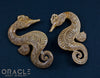 1" (25.4mm) Fossilized Mammoth Ivory Seahorse