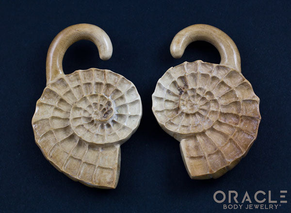 00g (9.5-10mm) Fossilized Mammoth Ivory Ammonites