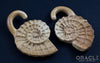 00g (9.5-10mm) Fossilized Mammoth Ivory Ammonites