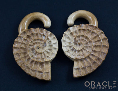7/16" (11mm) Fossilized Mammoth Ivory Ammonites