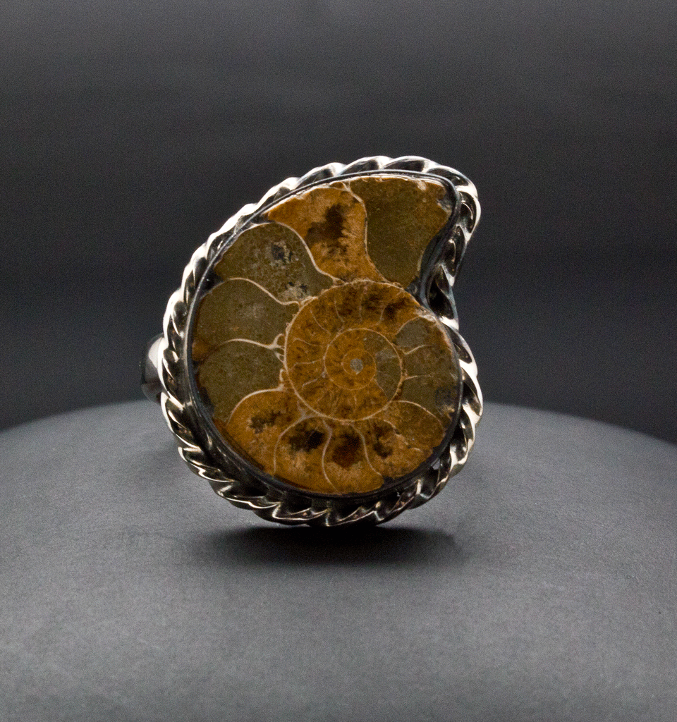 Sterling Silver Ammonite Ring Size 6