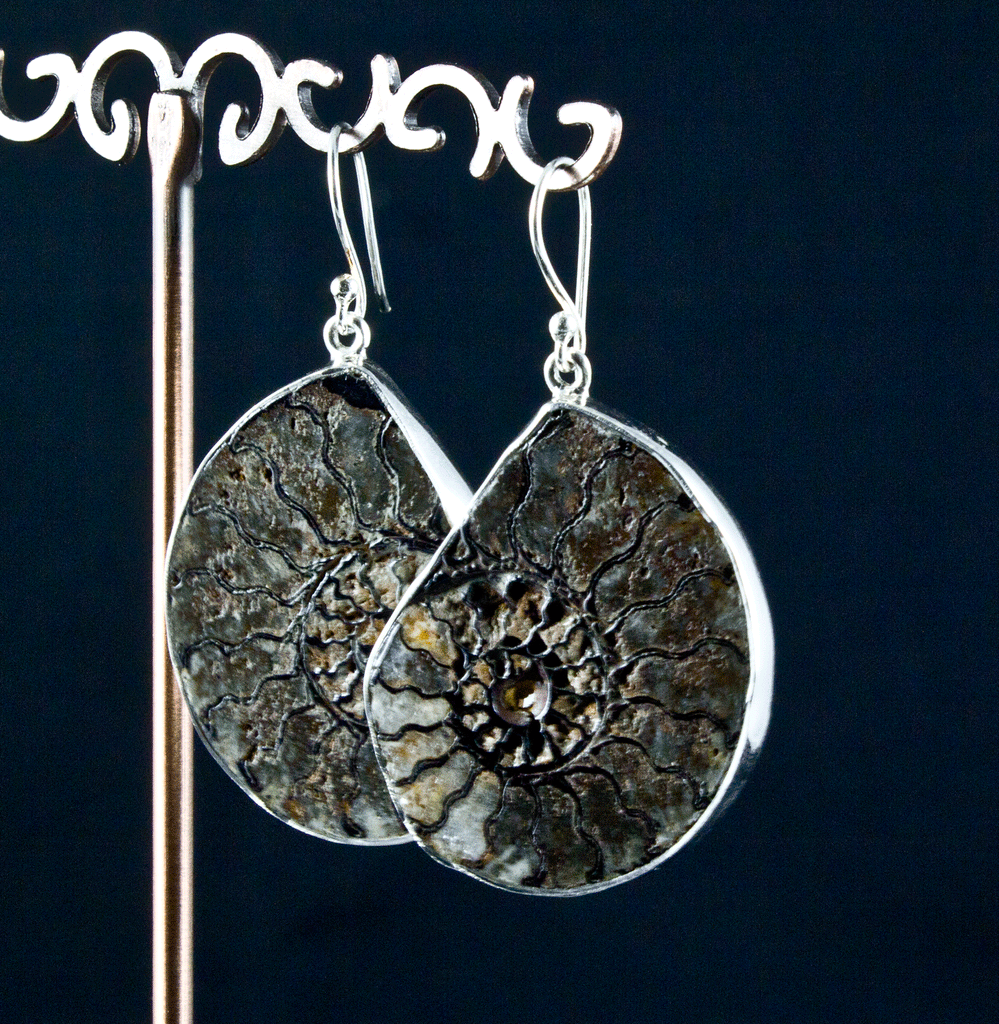 Sterling Silver Ammonite Earrings