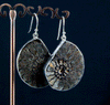 Sterling Silver Ammonite Earrings