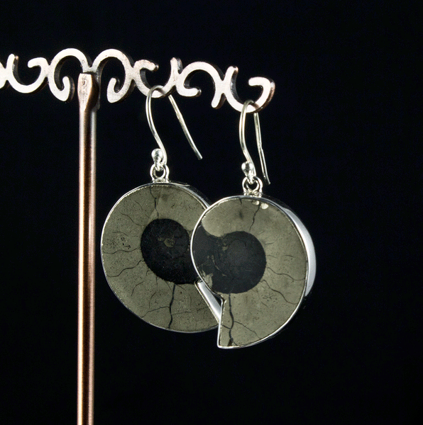 Sterling Silver Ammonite Earrings