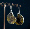 Sterling Silver Ammonite Earrings