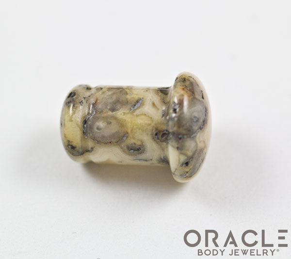 Crazy Lace Agate Single Flare Plugs