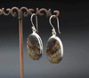 Sterling Silver Crazy Lace Agate Earrings