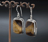 Sterling Silver Crazy Lace Agate Earrings