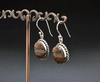 Sterling Silver Crazy Lace Agate Earrings